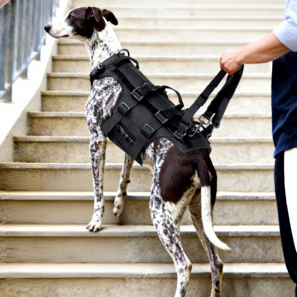 Arnés de cuerpo completo para perro con asa de manejo para agility